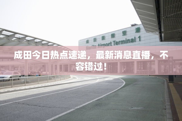 成田今日热点速递，最新消息直播，不容错过！