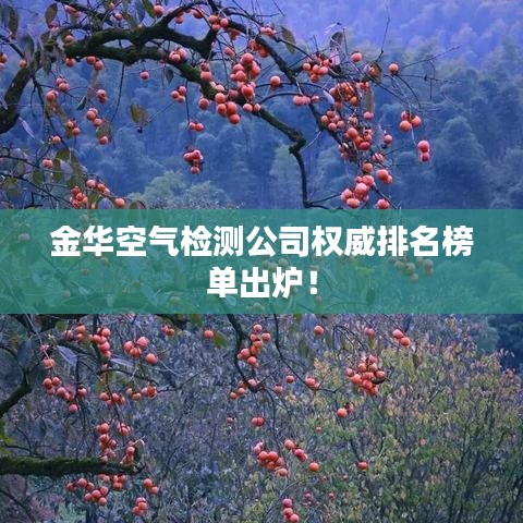 金华空气检测公司权威排名榜单出炉！