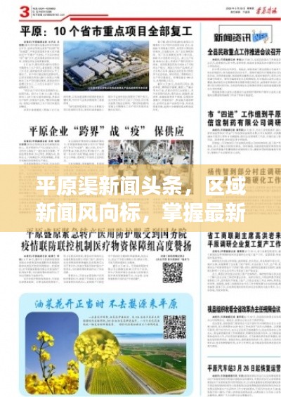 平原渠新闻头条，区域新闻风向标，掌握最新资讯动态