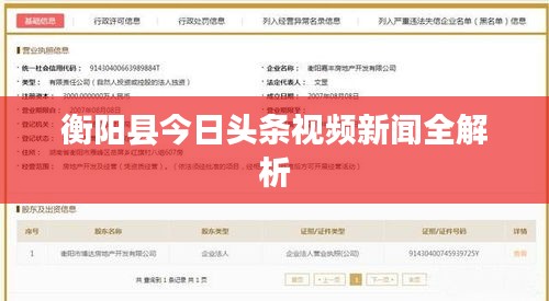 衡阳县今日头条视频新闻全解析