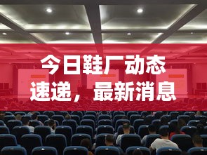 今日鞋厂动态速递，最新消息一览