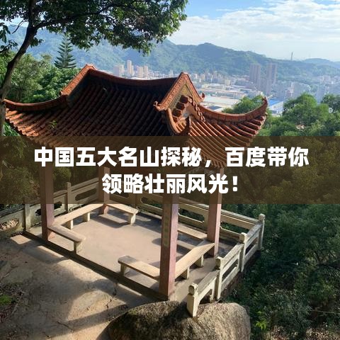 富贵不能淫 第2页