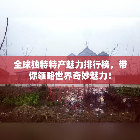 贵不可言 第2页