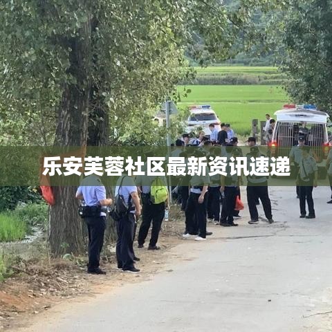 乐安芙蓉社区最新资讯速递