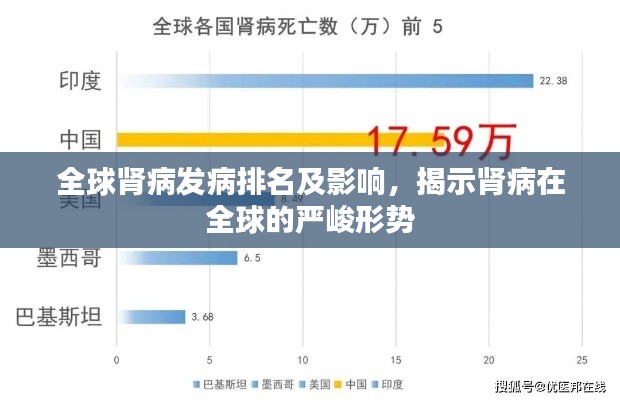 全球肾病发病排名及影响，揭示肾病在全球的严峻形势