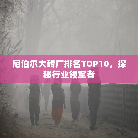 尼泊尔大砖厂排名TOP10，探秘行业领军者
