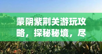 蒙阴紫荆关游玩攻略，探秘秘境，尽享自然盛宴！