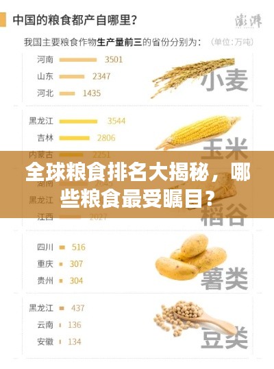 全球粮食排名大揭秘，哪些粮食最受瞩目？