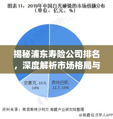 揭秘浦东寿险公司排名，深度解析市场格局与竞争态势