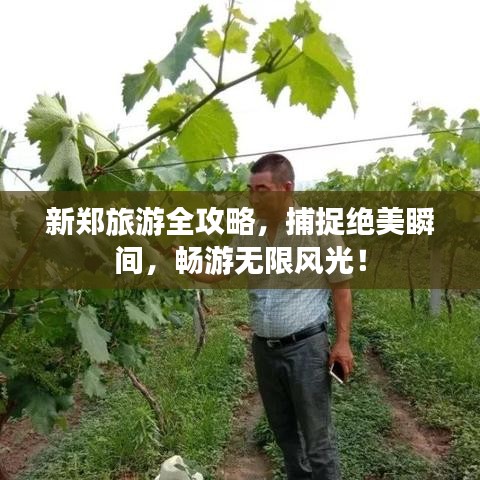 新郑旅游全攻略，捕捉绝美瞬间，畅游无限风光！