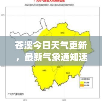 苍溪今日天气更新，最新气象通知速览