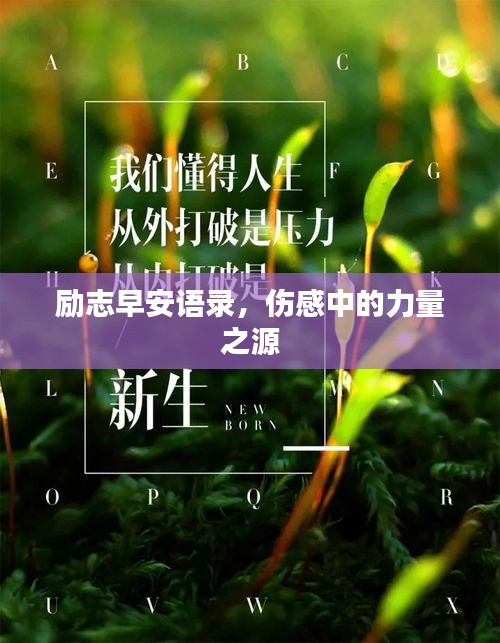 励志早安语录，伤感中的力量之源