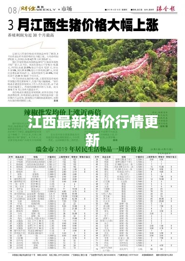 江西最新猪价行情更新
