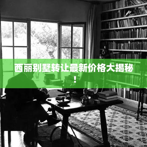 西丽别墅转让最新价格大揭秘！