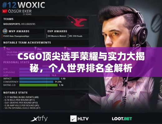 CSGO顶尖选手荣耀与实力大揭秘，个人世界排名全解析