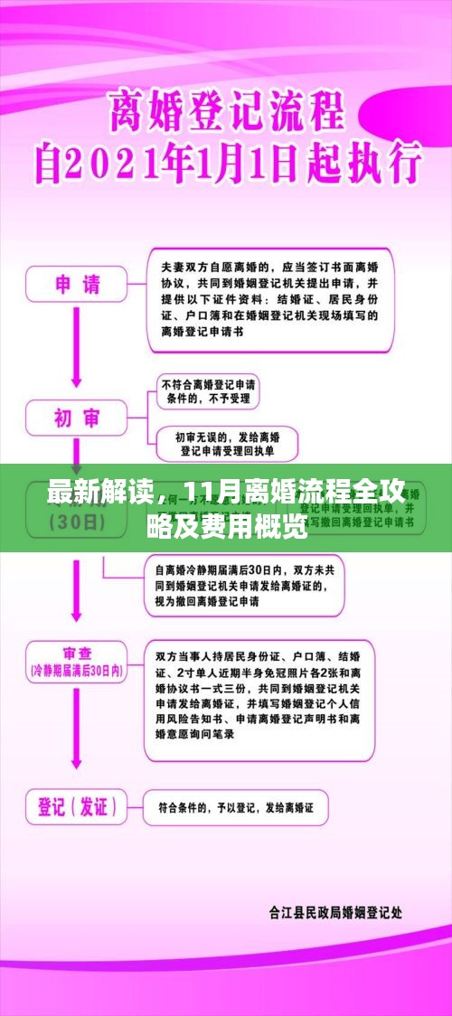 最新解读，11月离婚流程全攻略及费用概览