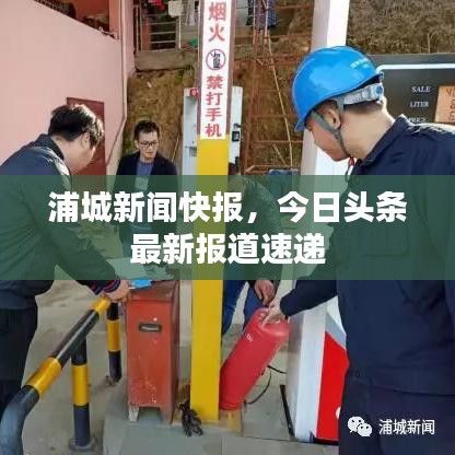 浦城新闻快报，今日头条最新报道速递