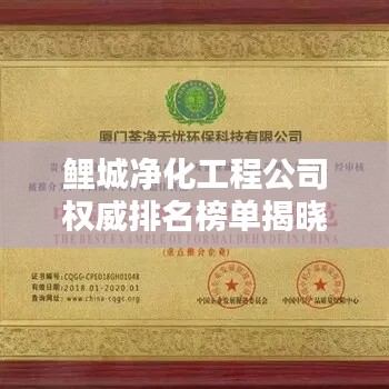 鲤城净化工程公司权威排名榜单揭晓！
