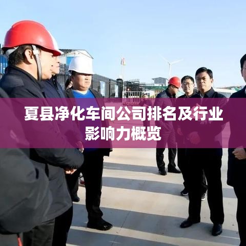 夏县净化车间公司排名及行业影响力概览