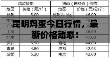 昆明鸡蛋今日行情，最新价格动态！