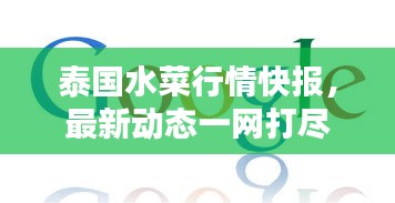 泰国水菜行情快报，最新动态一网打尽