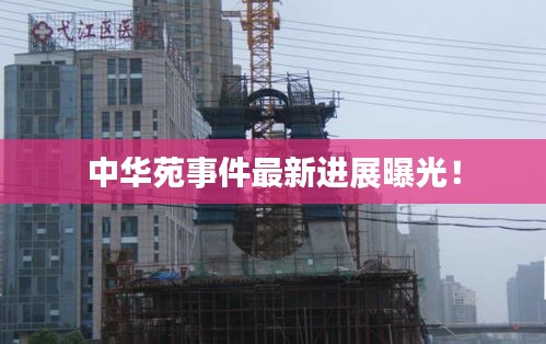 中华苑事件最新进展曝光！