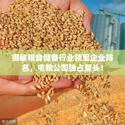 揭秘粮食储备行业领军企业排名，屯粮公司独占鳌头！