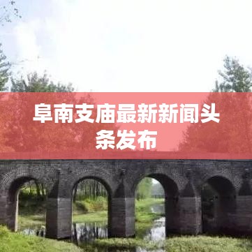阜南支庙最新新闻头条发布