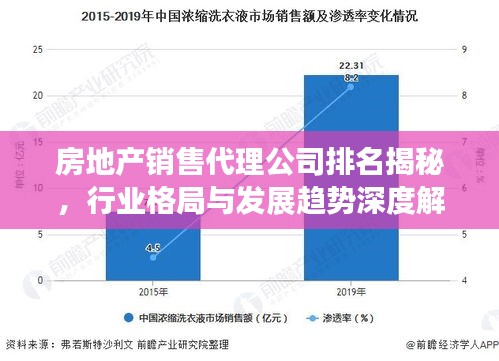 房地产销售代理公司排名揭秘，行业格局与发展趋势深度解析