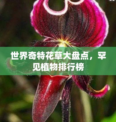 世界奇特花草大盘点，罕见植物排行榜