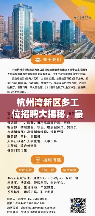 杭州湾新区多工位招聘大揭秘，最新职位信息概览
