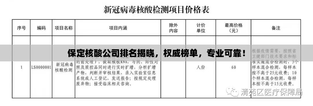 保定核酸公司排名揭晓，权威榜单，专业可靠！
