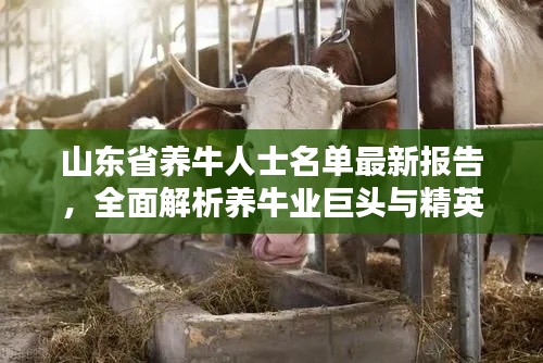 山东省养牛人士名单最新报告，全面解析养牛业巨头与精英名单