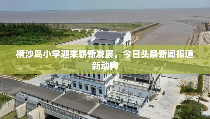 横沙岛小学迎来崭新发展，今日头条新闻报道新动向