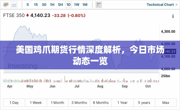 美国鸡爪期货行情深度解析，今日市场动态一览