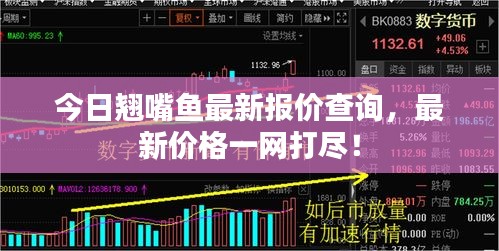今日翘嘴鱼最新报价查询，最新价格一网打尽！