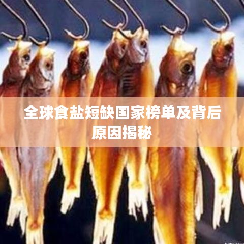 全球食盐短缺国家榜单及背后原因揭秘