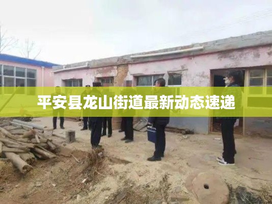 平安县龙山街道最新动态速递