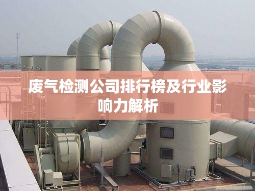 废气检测公司排行榜及行业影响力解析