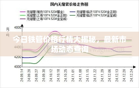 今日铁管价格行情大揭秘，最新市场动态查询