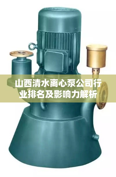 山西清水离心泵公司行业排名及影响力解析