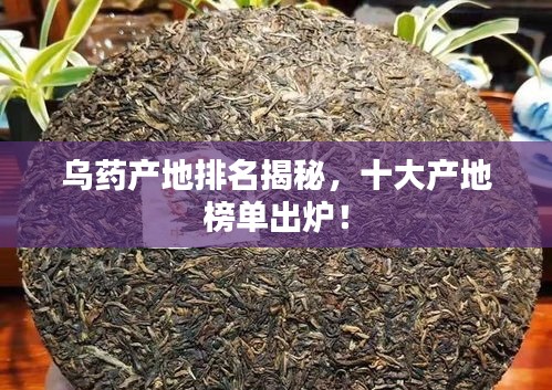 乌药产地排名揭秘，十大产地榜单出炉！
