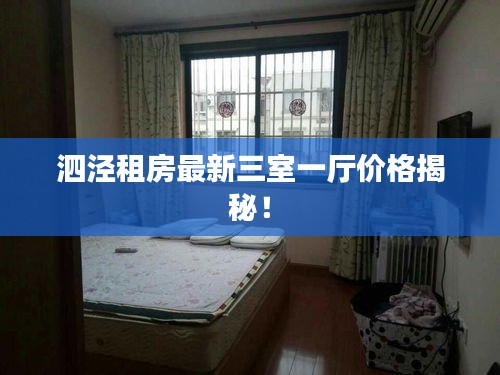 泗泾租房最新三室一厅价格揭秘！