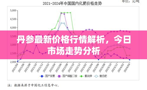 丹参最新价格行情解析，今日市场走势分析