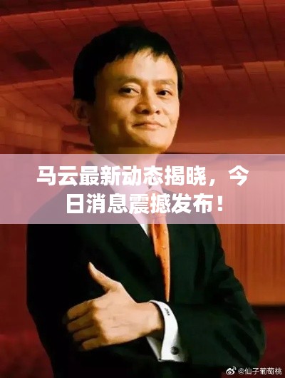 马云最新动态揭晓，今日消息震撼发布！
