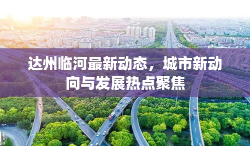 百尺无枝 第2页