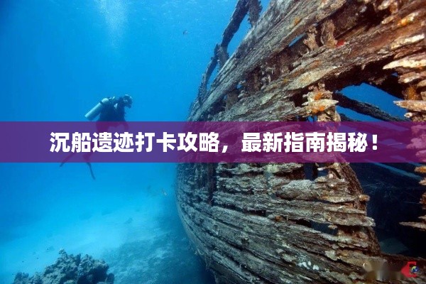 沉船遗迹打卡攻略，最新指南揭秘！