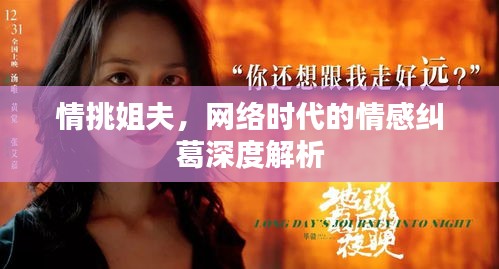 情挑姐夫，网络时代的情感纠葛深度解析