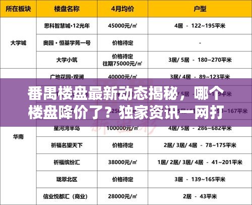 番禺楼盘最新动态揭秘，哪个楼盘降价了？独家资讯一网打尽！