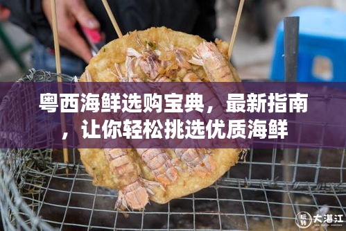 粤西海鲜选购宝典，最新指南，让你轻松挑选优质海鲜